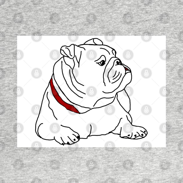 English bulldog by Noamdelf06